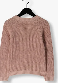 lichtroze lil' atelier trui nmfemlen emb knit lil