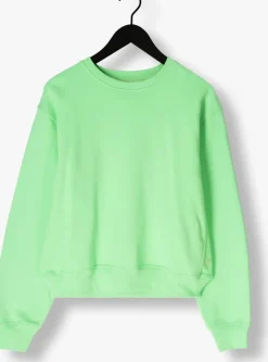 lime circle of trust sweater amina sweat