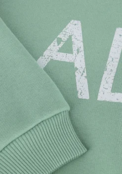 mint alix mini sweater world tour sweater