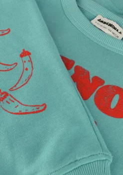 mint ammehoela sweater rocky