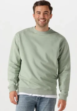 mint pure path sweater loose fit crewneck ls sweaters