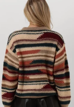 multi louizon truien/vesten champa