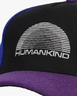 multi molo pet skill