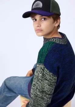 multi molo pet skill