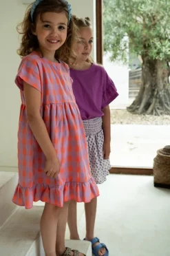 multi petit blush mini jurk julie dress check