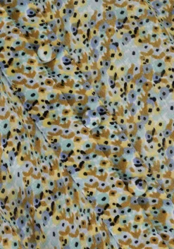 multi scotch & soda mini jurk easy raglan sheer dress