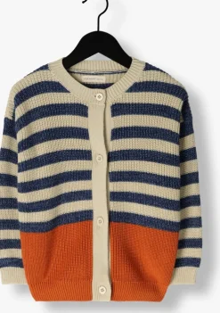 multi your wishes vest stripe knit relaxed cardigan