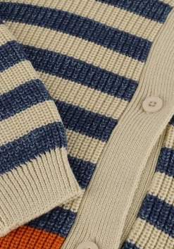 multi your wishes vest stripe knit relaxed cardigan