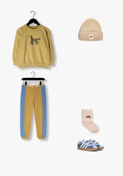 oker sproet & sprout sweater sweatshirt raglan dog