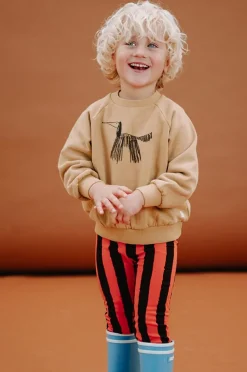 oker sproet & sprout sweater sweatshirt raglan dog