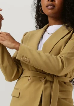 olijf aaiko blazer perize vis 333