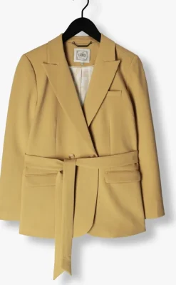 olijf aaiko blazer perize vis 333