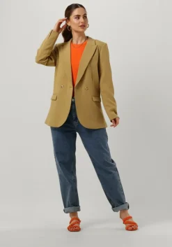 olijf aaiko blazer perize vis 333