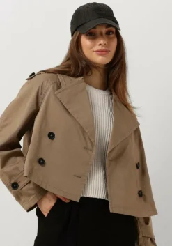 olijf drykorn jack podington