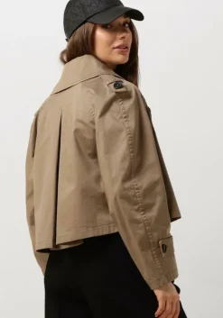 olijf drykorn jack podington