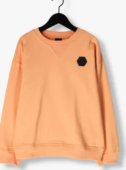 oranje nik & nik sweater icon sweatshirt
