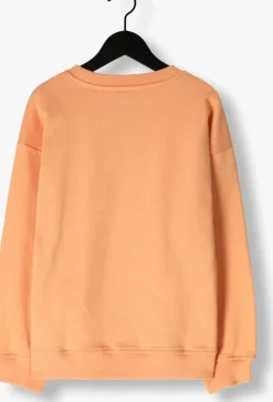 oranje nik & nik sweater icon sweatshirt