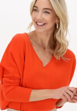 oranje not shy trui faustine