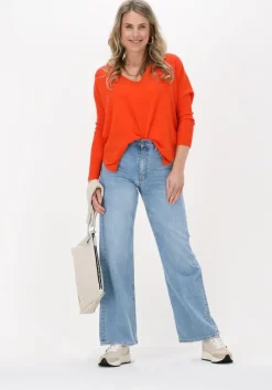 oranje not shy trui faustine