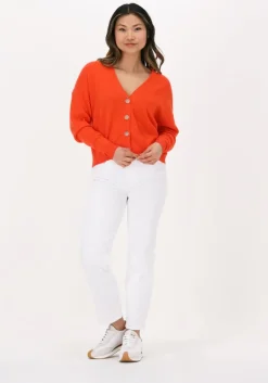 oranje not shy vest juana