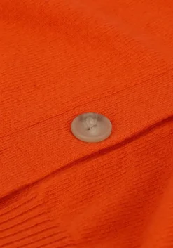 oranje not shy vest juana