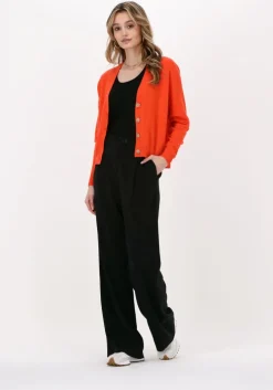 oranje not shy vest juana