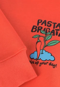 oranje z8 sweater tino