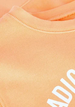 oranje zadig & voltaire sweater x60364