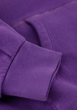 paarse american vintage truien/vesten izubird hoodie