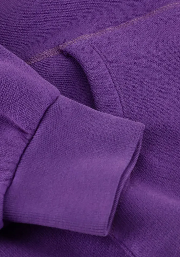 paarse american vintage truien/vesten izubird hoodie