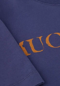 paarse ammehoela t-shirt kit