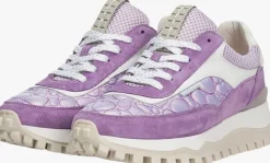 paarse floris van bommel lage sneakers sfw-10100