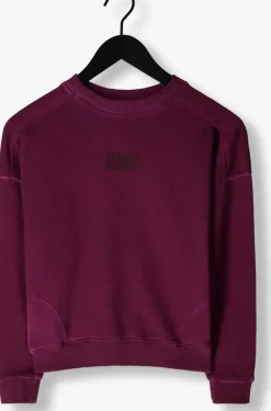 paarse frankie & liberty sweater paris sweater