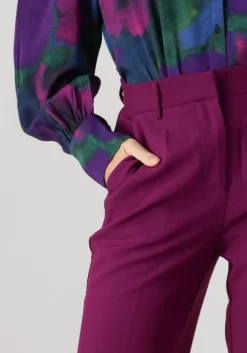 paarse freebird pantalon lolani pants