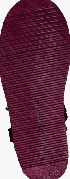 paarse giga hoge laarzen 5691