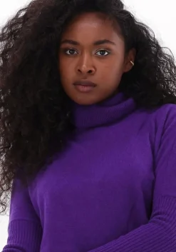 paarse not shy trui margareth