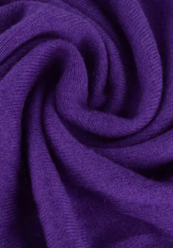 paarse not shy trui margareth