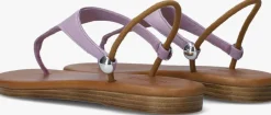 paarse notre-v sandalen 444009