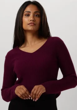 paarse resort finest trui v-neck rib knit