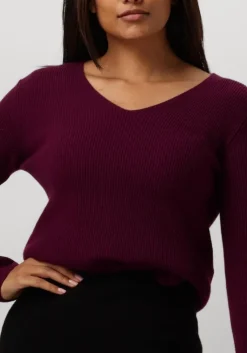 paarse resort finest trui v-neck rib knit