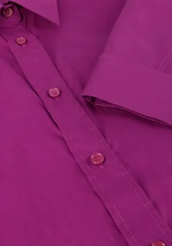 paarse vanessa bruno blouses bobby chemise mc