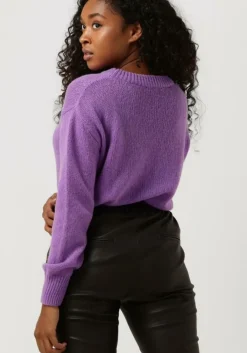 paarse vanessa bruno trui vinca pull col montant