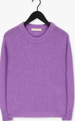 paarse vanessa bruno trui vinca pull col montant