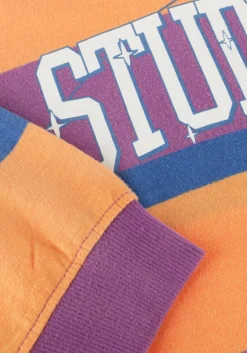 paarse vingino polo koa