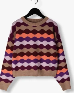 paarse vingino trui marlize