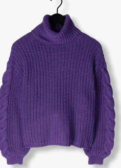 paarse y.a.s. coltrui yassanne ls knit rollneck pullover