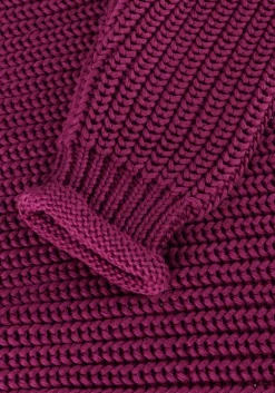 paarse your wishes trui knit virginia