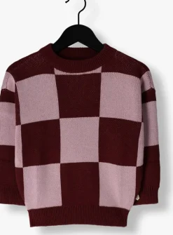 paarse your wishes trui knit montana