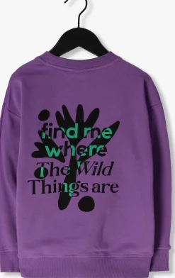 paarse z8 sweater timon