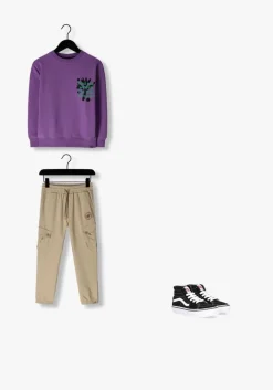 paarse z8 sweater timon